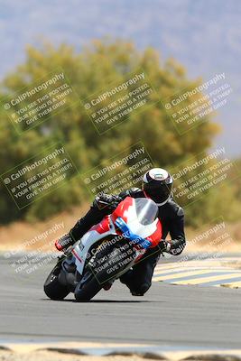 media/May-15-2022-SoCal Trackdays (Sun) [[33a09aef31]]/Turn 7 (1145am)/